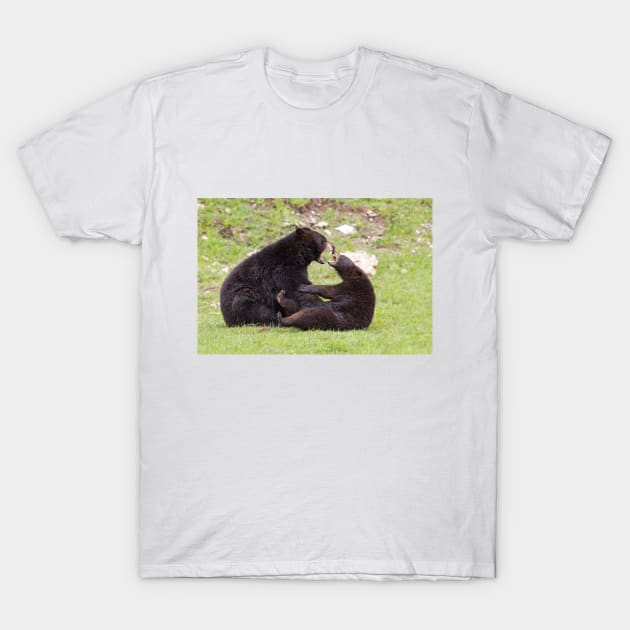 Black bears playing T-Shirt by Jim Cumming